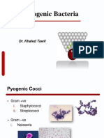 1-Pyogenic Cocci