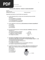 Evaluacion Sumativa SISTEMA LOCOMOTOR