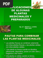 Aplicaciones de Algunas Plantas Medicinales y Preparados