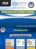 Biomecnicadelcartlago 160226050024