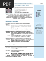 CV Profecional de Joel Muñoz