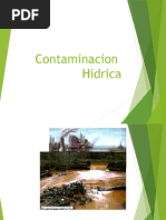 3.1 Contaminacion Del Agua