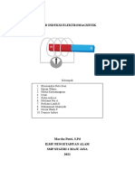 Rheznandya Puteri Diaz - 19312244001 - LKPD Hukum Faraday