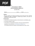 1° Básico - Guía de Aprendizaje Remoto - Ciencias - N°6