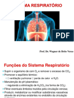 Sistema Respiratório Fis - 2021