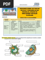 Semana 31 Gladys Huarachi Ok