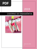 Caderno de Endodôntia