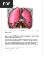 How You'Re Lungs Work