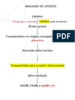 Metabolismo de Lipídeos