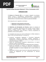 Manual de Procesos y Procedimientos ST