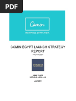 COMIN Egypt Launch Strategy-VF