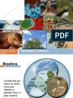 10ano Diversidade Na Biosfera