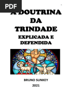 A Doutrina Da Trindade Explicada e Defendida Sunkey