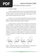 Metabolismo de Animales