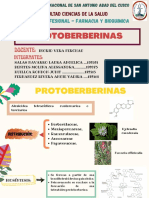 PROTOBERBERINAS