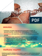 Sistemul Muscular