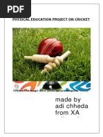 PDF Physical Education Project On Cricket DL