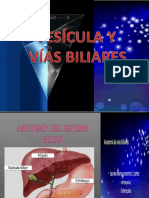 CLASE 15 - Vesicula y Vias Biliares