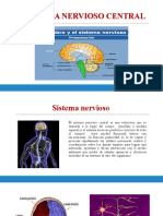 Sistema Nervioso Periférico........