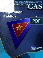 Seguranca Publica