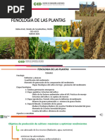 m1 - Fenologã - A de Las Plantas