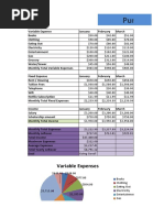 Punnet's Yearly Budget For 2020: Variable Expenses