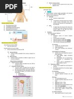 Chapter 8: Nervous System: With Opposite Effects, One Inhibits The Other Stimulates)