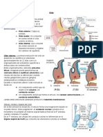 Desarrollo Embriológico RESUMEN OIDO