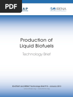 IRENA-ETSAP Tech Brief P10 Production - of - Liquid Biofuels