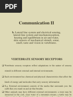 B (Sensory Receptors)