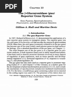 The P-Glucuronidase (Gus)