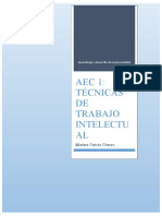 AEC 1: Técnicas DE Trabajo Intelectu AL: Marina García Gómez