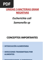 UNIDAD 3.bacilos Gram Negativos - E. Coli y Salmonella