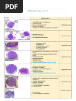 Idenfificación de Células