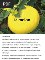 Diapo Melon