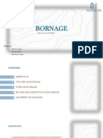 Bornage