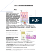 Resumen - Anatomía e Histología 01 - Primer Parcial