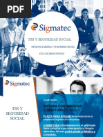 TSS y Seguridad Social Dominic