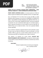 Escrito Solicitando Que Se Envie Copia Sentencia y La Que Confirma-Liviapoma