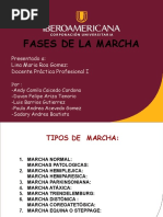 Fases de La Marcha