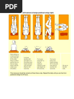 Home Epley Handouts