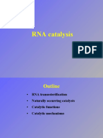 RNA Catalysis