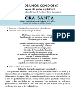 Vida de Unión Con Dios (1) Consejos Espirituales. San Pedro Julián Eymar