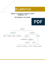 Asesoria - Helmintos