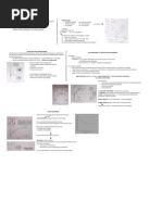 Strengthening Mechanisms: MSE3 Page 2