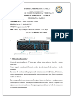 Estructura Del Teclado