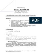 Pruebas Bioquimicas