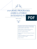 Informe Programa Ambulatorio Intensivo Pai