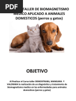 Manual Perros y Gatos 1