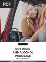 Dot Drug and Alcohol Program